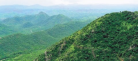 ‘Conflicts of interest’: CJI urged to
re-look at Aravalli panel composition
