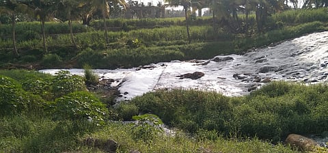 Polluted waters of the Thirumanimutharu River in Salem seen choked with foam after industrial effluents mixed with rainwater.