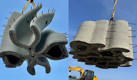The modules feature complex geometries with multiple crevices and folds.