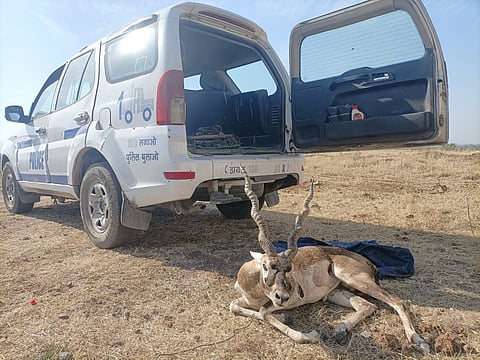 State police headquarters data show Dial-112 FRVs rescued animals such as deer, peacocks, nilgai, turtles and sand boa snakes between March 2025 and June 2026.