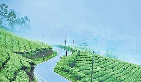 Munnar
