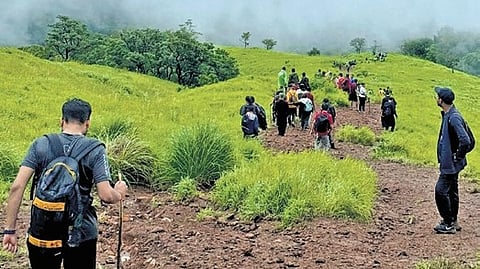 There are eight trekking points in Kudremukh division, out of which Kudremukh, Gangadikal, Kurinjal and Nethravati.