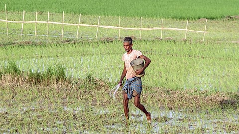 fertilisers