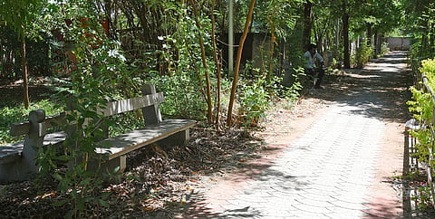 Ananda Avenue Park near EB Road in Tiruchy is in a dilapidated condition.