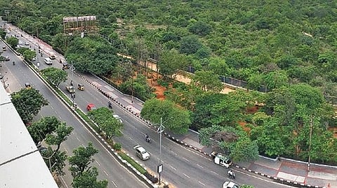 Kasu Brahmananda Reddy National Park