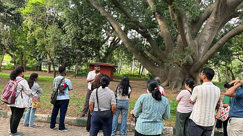 Abhishek Khan leads a walk in Lal Bagh