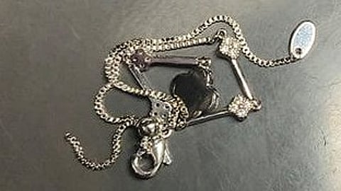 The metal chain that prevented the Metro train doors from closing.