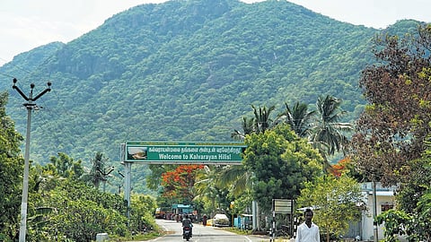 Kalvarayan Hills, inhabited by 60,000 people, is home to Malayali tribals and serves as a hub for 117 villages.