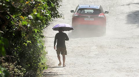 Authorities were also urged to examine restrictions on highly polluting vehicles older than 15 years.