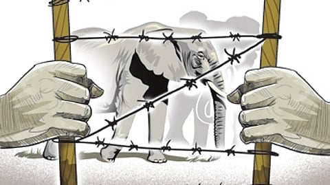 Image used for representation only.