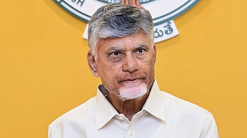 Andhra Pradesh Chief Minister N Chandrababu Naidu.