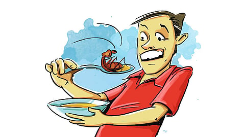 insect in food