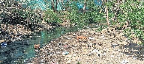 Sarali river clogged with garbage in Baripada town