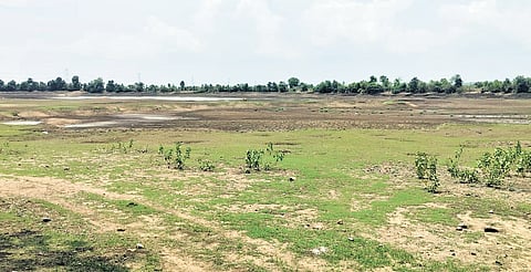 A lake near Thantholi village in Adilabad district has completely dried up