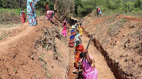 Women work in the field employed under the MGNREGA scheme