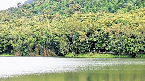 Parambikulam Tiger Reserve
