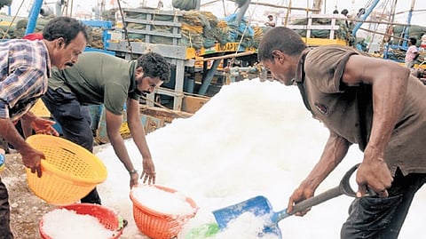 Fishermen gear up to set sail from Visakhapatnam Fishing Harbour on Sunday, as the annual fishing ban is set to end on the night of June 14.
