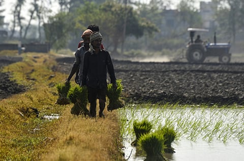 The association described the storage of 100 per cent broken rice as one of the major practical challenges arising from the new policy.
