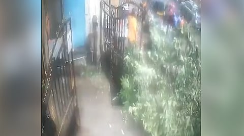 A 63-year-old man was killed after a tree collapsed onto a shop in Kurla amid heavy rains on Sunday, July 5, 2026.