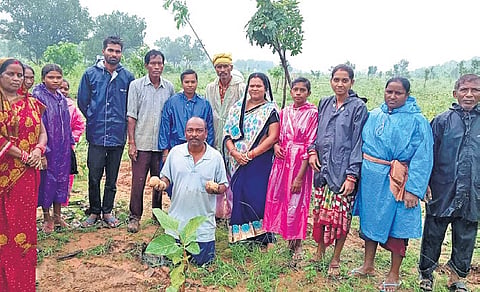 Mahaling and his team of volunteers at a plantation site