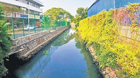 The canal at Convent Junction