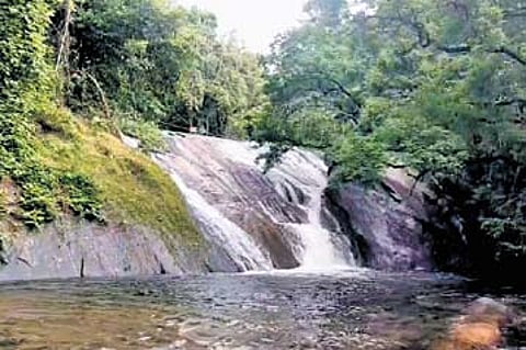 Dhoni waterfalls in Palakkad