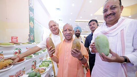 The BJP brass on Sunday joined party’s national president Nitin Nabin for a relaxed mango party hosted by UP Deputy CM Brajesh Pathak at his official residence.