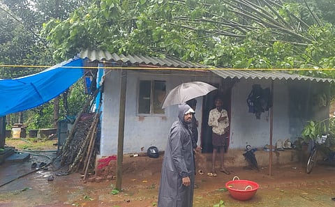A drumstick tree fell over a house and the cement sheets were partially damaged near Gudalur on Tuesday.
