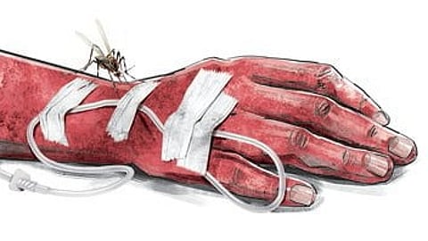 Image used for representative purpose.
