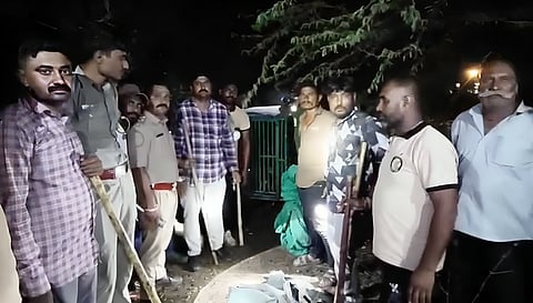 According to DCF Chirag Amin, preliminary findings suggest a lion and a lioness were in their mating period when the group allegedly entered the area for illegal lion watching.