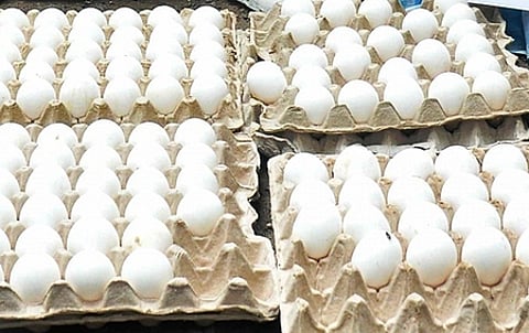 With egg prices skyrocketing at an all-time high of `9 each, the government has sought a report from the state nodal officer.