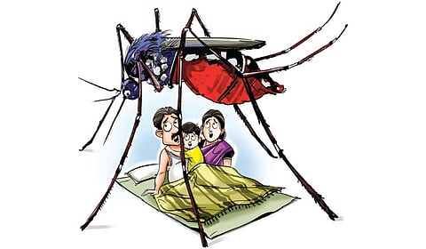 Ernakulam district is witnessing a sharp increase in the number of dengue cases.