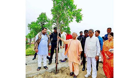 A Celebration of Gratitude Towards Nature in Uttar Pradesh