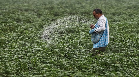 India currently produces about 30 million tonnes of urea annually against domestic demand of nearly 40 million tonnes, requiring imports of around 10 million tonnes each year.