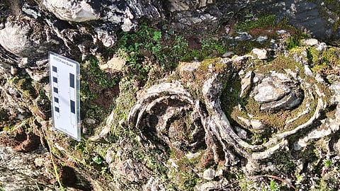 Researchers said Pithoragarh and the adjoining areas of Berinag, Gangolihat and Chaukori possess striking geological formations, glaciers, rivers, caves, fossils and minerals.