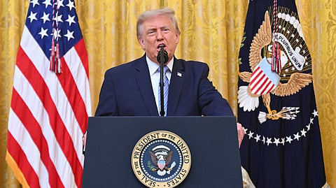 Trump accused Canada of "not properly maintaining" their forests, failing to carry out "basic Forest Management and Debris Removal."