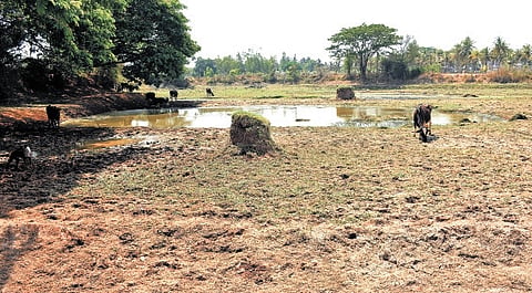 CM DK Shivakumar said that he will hold a video-conference meeting to review the drought situation, monsoon, and drinking water supply in the state.