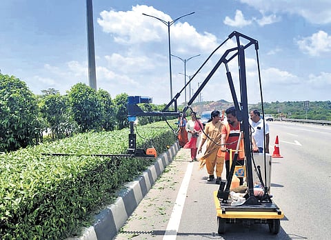 Using machines. workers trim hedges along the ORR