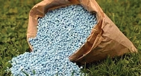 The state government has directed district administrations to promote alternative fertilisers even as it asserted that there was no fertiliser crisis.