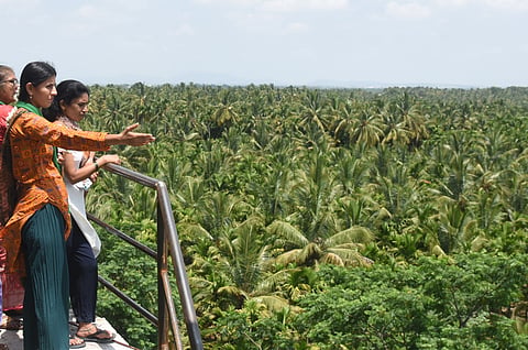 A view of Bidadi where the Greater Bidadi Integrated Township (GBIT) project is planned.