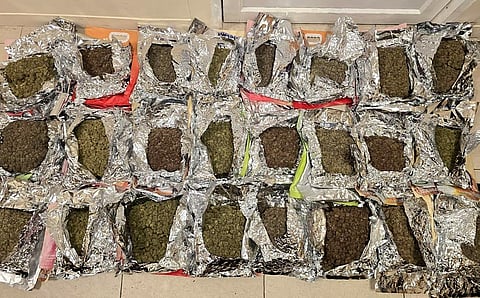 Customs has seized 4.76 kg of high-grade hydroponic ganja from an Indian passenger who arrived from Kuala Lumpur at the Chennai International Airport on the night of July 19.
