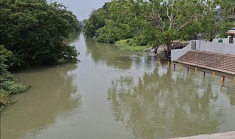 Gostani canal contaminated in Tanuku town in west Godavari.