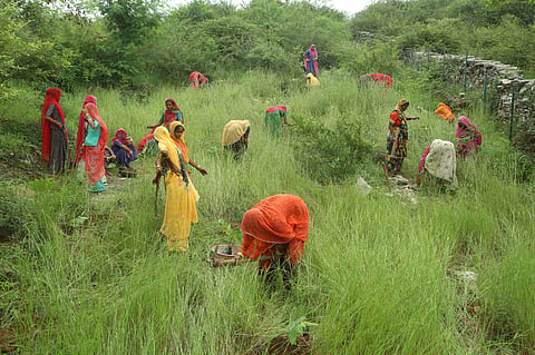 From the film, 'A Tale of Eco-Feminism'