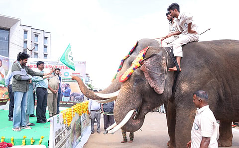 Deputy CM Pawan Kalyan welcomes Khumki elephants, which are on their way to Parvathipuram, at Mangalagiri on Friday.