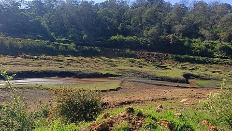 Water from Observatory lake has dried in Kodaikanal Town in Dindigul district.