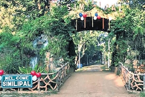 Ama Similipal Yojana is a major livelihood initiative aimed at creating sustainable employment for villages around the Similipal Tiger Reserve.