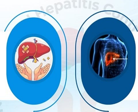 Doctors stress that hepatitis' reach extends well beyond the liver, into intimate areas of health rarely discussed in public.