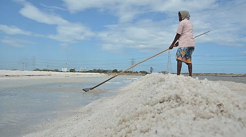 A salt pan worker toils under the sun as he rakes crystallised salt for collection at Mullakadu in Thoothukudi.