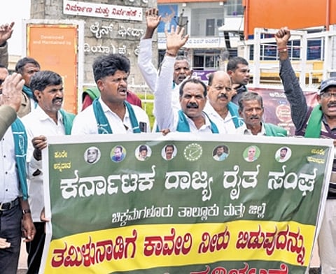 Members of Karnataka Rajya Raitha Sangha protest in Chikkamagaluru
on Wednesday | pti