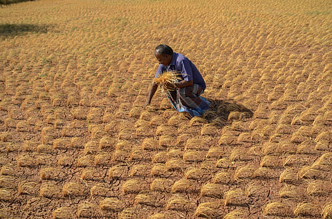 The state government has declared a 12-month moratorium on repayments of Kisan Credit Card (KCC) loans